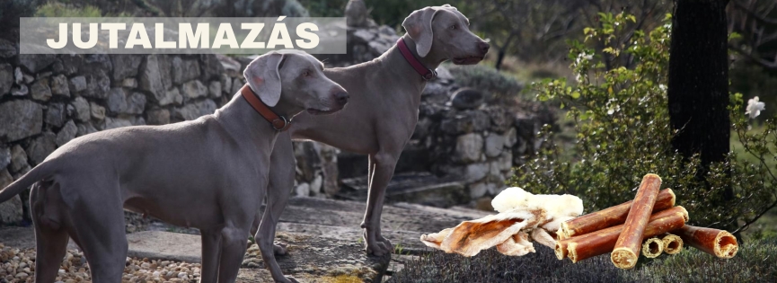 <br/><br/><br/> Természetes rágók, jutifalatok